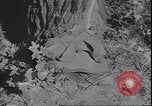 Standbild USA Soldaten United States USA, 1942, aus Sekunde 45 historischem Filmmaterial Videoclip 65675058241