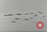 Image of B-36 Peacemakers Netherlands, 1953, second 54 stock footage video 65675058245