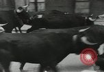 Image exécutant les taureaux Pamplona Espagne, 1953, de la seconde 32 séquences d'archives historiques vidéo 65675058246