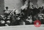Image exécutant les taureaux Pamplona Espagne, 1953, de la seconde 44 séquences d'archives historiques vidéo 65675058246