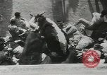 Image exécutant les taureaux Pamplona Espagne, 1953, de la seconde 46 séquences d'archives historiques vidéo 65675058246