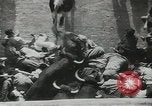 Image exécutant les taureaux Pamplona Espagne, 1953, de la seconde 48 séquences d'archives historiques vidéo 65675058246