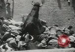 Image exécutant les taureaux Pamplona Espagne, 1953, de la seconde 51 séquences d'archives historiques vidéo 65675058246