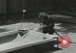 Image chimpanzé California United States USA, 1953, de la seconde 9 séquences d'archives historiques vidéo 65675058248