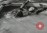 Image chimpanzé California United States USA, 1953, de la seconde 22 séquences d'archives historiques vidéo 65675058248