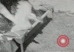 Image chimpanzé California United States USA, 1953, de la seconde 54 séquences d'archives historiques vidéo 65675058248