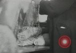 Standbild Ost-berliner Berlin Deutschland, 1953, aus Sekunde 53 historischem Filmmaterial Videoclip 65675058250
