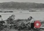 Standbild USA Flugzeuge Japan, 1953, aus Sekunde 10 historischem Filmmaterial Videoclip 65675058251