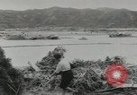 Standbild USA Flugzeuge Japan, 1953, aus Sekunde 12 historischem Filmmaterial Videoclip 65675058251