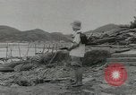 Standbild USA Flugzeuge Japan, 1953, aus Sekunde 14 historischem Filmmaterial Videoclip 65675058251