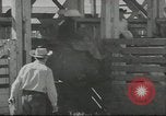 Standbild cowboys Joseph Oregon USA, 1953, aus Sekunde 40 historischem Filmmaterial Videoclip 65675058254
