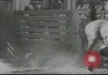 Standbild cowboys Joseph Oregon USA, 1953, aus Sekunde 45 historischem Filmmaterial Videoclip 65675058254
