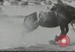 Standbild cowboys Joseph Oregon USA, 1953, aus Sekunde 52 historischem Filmmaterial Videoclip 65675058254