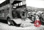 Image of elephant New York United States USA, 1958, second 4 stock footage video 65675058264