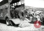 Image of elephant New York United States USA, 1958, second 5 stock footage video 65675058264