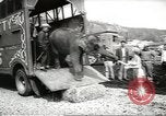 Image of elephant New York United States USA, 1958, second 6 stock footage video 65675058264