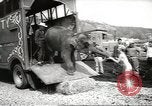 Image of elephant New York United States USA, 1958, second 7 stock footage video 65675058264