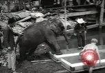 Image of elephant New York United States USA, 1958, second 18 stock footage video 65675058264