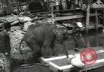 Image of elephant New York United States USA, 1958, second 21 stock footage video 65675058264