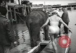 Image of elephant New York United States USA, 1958, second 24 stock footage video 65675058264