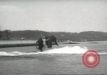 Image of elephant New York United States USA, 1958, second 40 stock footage video 65675058264