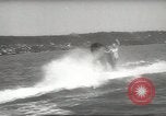 Image of elephant New York United States USA, 1958, second 45 stock footage video 65675058264