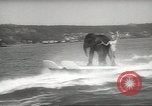 Image of elephant New York United States USA, 1958, second 46 stock footage video 65675058264