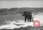 Image of elephant New York United States USA, 1958, second 47 stock footage video 65675058264