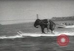 Image of elephant New York United States USA, 1958, second 51 stock footage video 65675058264