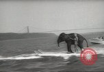 Image of elephant New York United States USA, 1958, second 52 stock footage video 65675058264