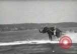 Image of elephant New York United States USA, 1958, second 54 stock footage video 65675058264