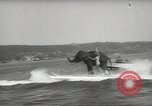 Image of elephant New York United States USA, 1958, second 55 stock footage video 65675058264
