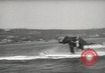 Image of elephant New York United States USA, 1958, second 56 stock footage video 65675058264