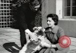 Image of Princess Margaret London England United Kingdom, 1960, second 8 stock footage video 65675058267