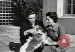 Image of Princess Margaret London England United Kingdom, 1960, second 10 stock footage video 65675058267