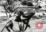 Image of chimpanzee Stuttgart Germany, 1960, second 5 stock footage video 65675058268