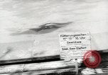 Image of chimpanzee Stuttgart Germany, 1960, second 7 stock footage video 65675058268