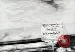 Image of chimpanzee Stuttgart Germany, 1960, second 9 stock footage video 65675058268