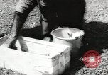Image of chimpanzee Stuttgart Germany, 1960, second 13 stock footage video 65675058268