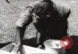 Image of chimpanzee Stuttgart Germany, 1960, second 15 stock footage video 65675058268