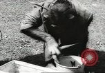 Image of chimpanzee Stuttgart Germany, 1960, second 16 stock footage video 65675058268