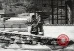 Image of chimpanzee Stuttgart Germany, 1960, second 19 stock footage video 65675058268