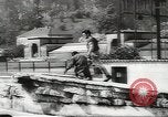 Image of chimpanzee Stuttgart Germany, 1960, second 20 stock footage video 65675058268