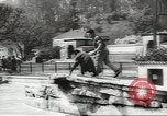 Image of chimpanzee Stuttgart Germany, 1960, second 21 stock footage video 65675058268