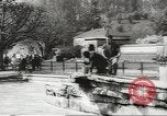 Image of chimpanzee Stuttgart Germany, 1960, second 22 stock footage video 65675058268