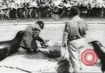 Image of chimpanzee Stuttgart Germany, 1960, second 35 stock footage video 65675058268