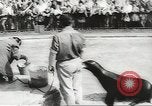 Image of chimpanzee Stuttgart Germany, 1960, second 36 stock footage video 65675058268