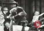 Image of chimpanzee Stuttgart Germany, 1960, second 38 stock footage video 65675058268