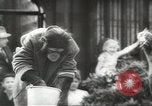 Image of chimpanzee Stuttgart Germany, 1960, second 39 stock footage video 65675058268