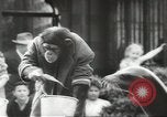 Image of chimpanzee Stuttgart Germany, 1960, second 40 stock footage video 65675058268